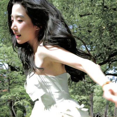 征服北极的人